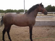 Ganader�a Don Sancho